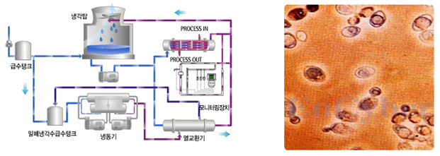 product_about_img02